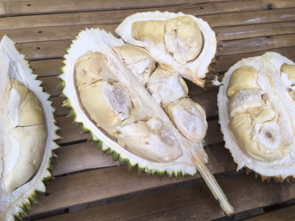 f:id:Toshibo:20181221172802j:image