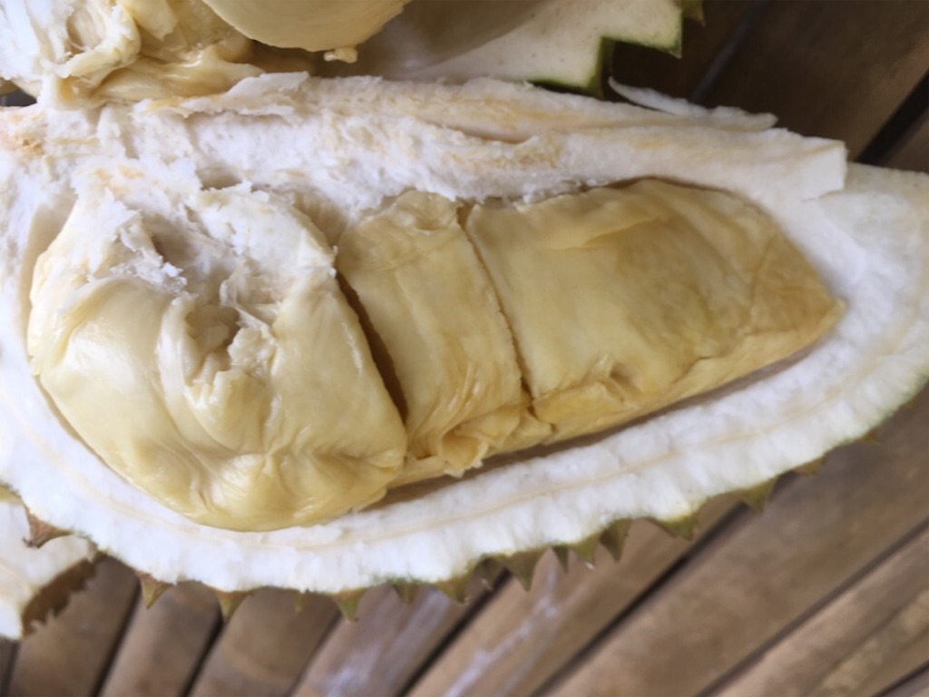 f:id:Toshibo:20181221172806j:image