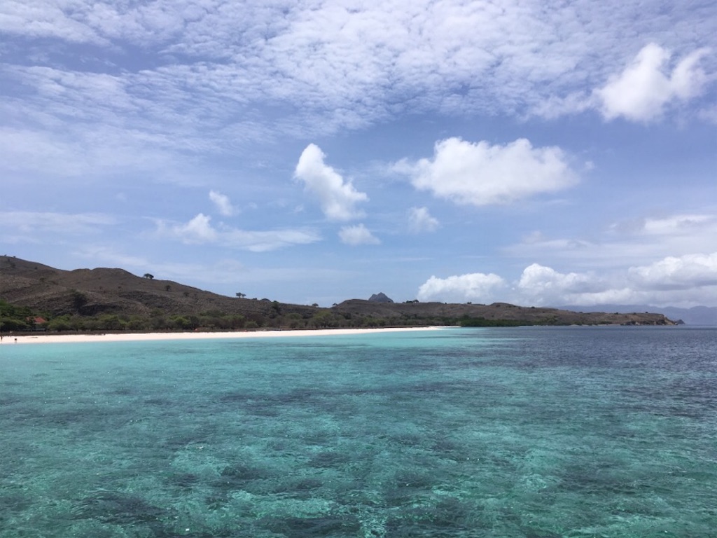 f:id:Toshibo:20181225104218j:image