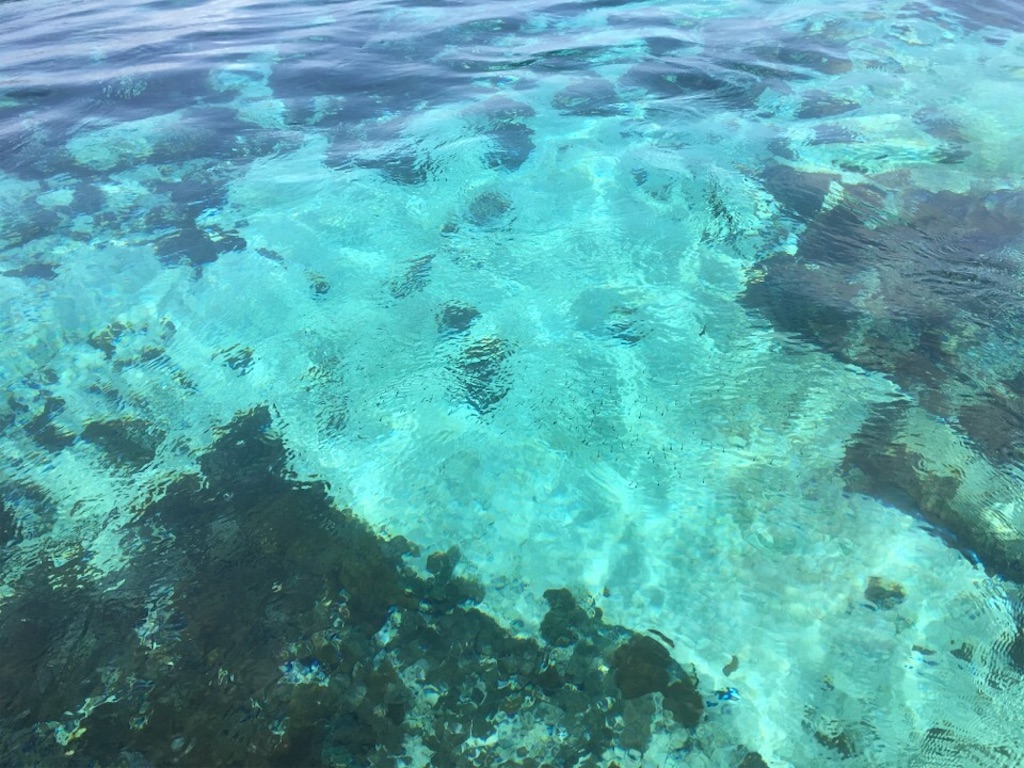 f:id:Toshibo:20181225104223j:image