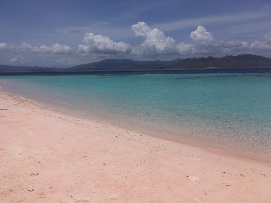 f:id:Toshibo:20181225104313j:image