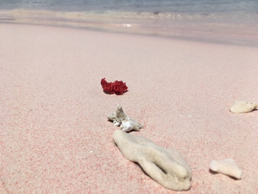 f:id:Toshibo:20181225104319j:image