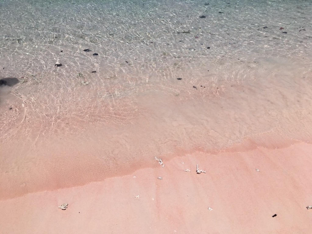 f:id:Toshibo:20181225104323j:image