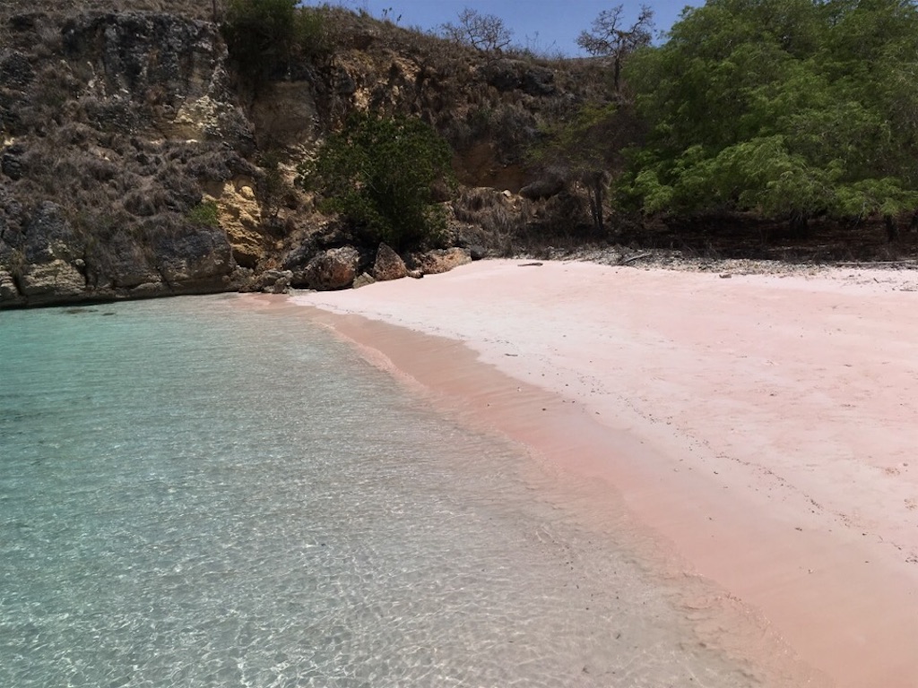 f:id:Toshibo:20181225104330j:image