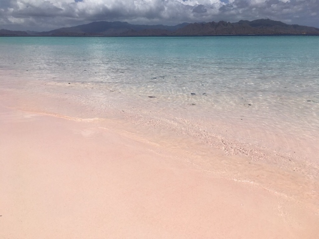 f:id:Toshibo:20181225104350j:image