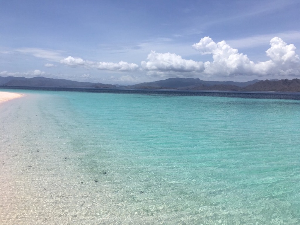 f:id:Toshibo:20181225104426j:image