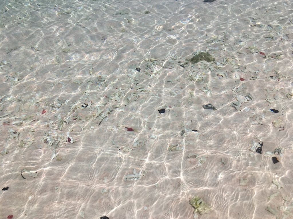 f:id:Toshibo:20181225104435j:image