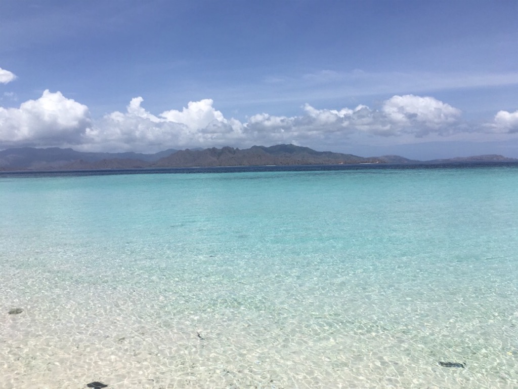 f:id:Toshibo:20181225104445j:image