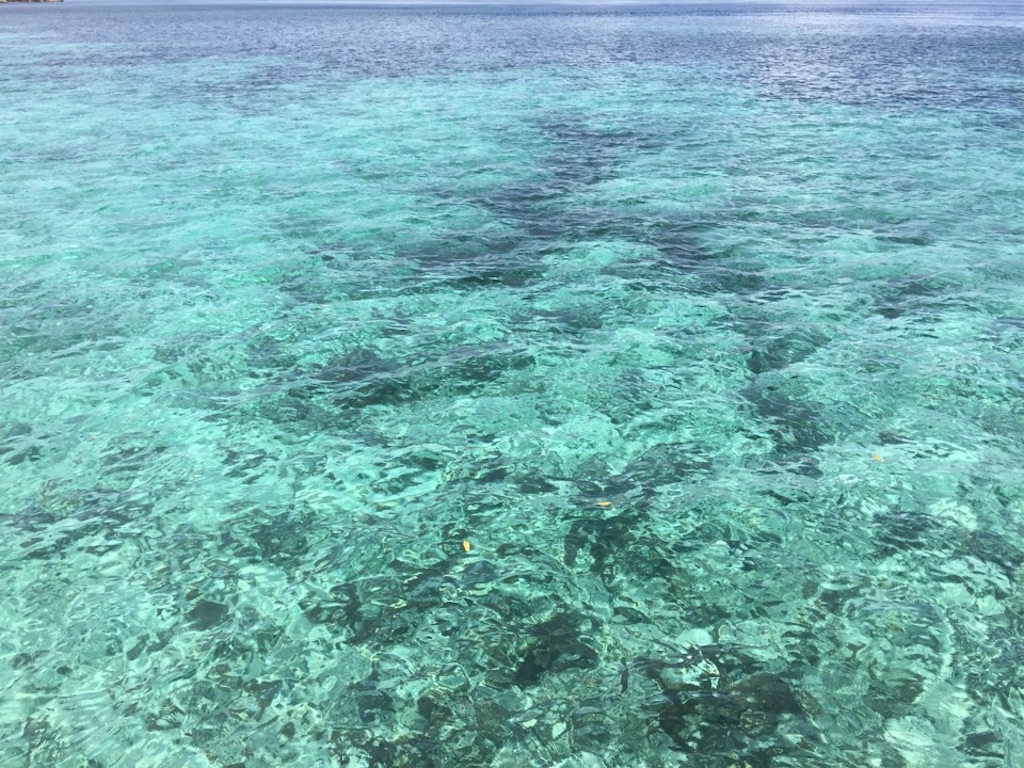 f:id:Toshibo:20181225104451j:image