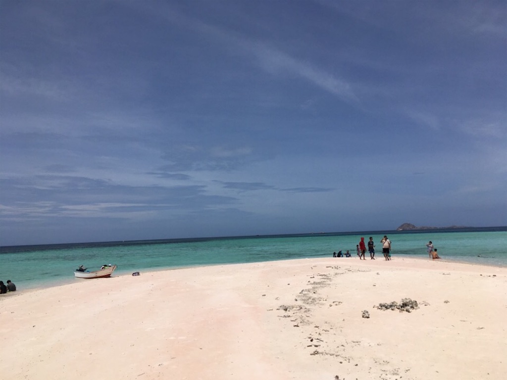 f:id:Toshibo:20181225104902j:image