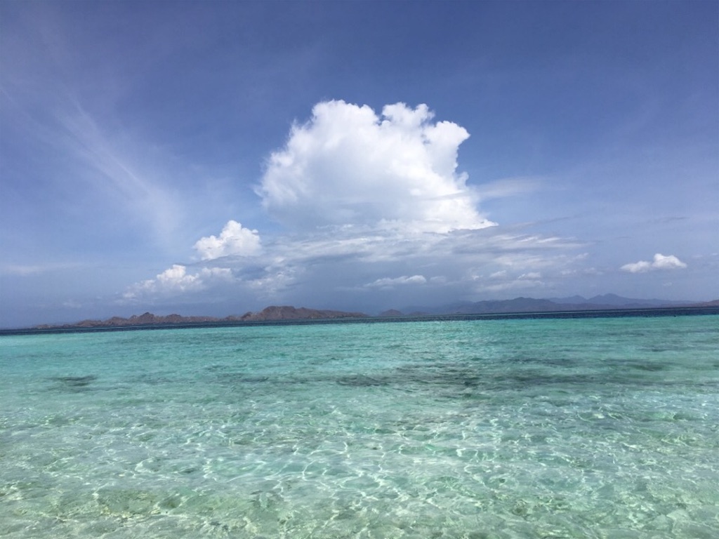 f:id:Toshibo:20181225104946j:image