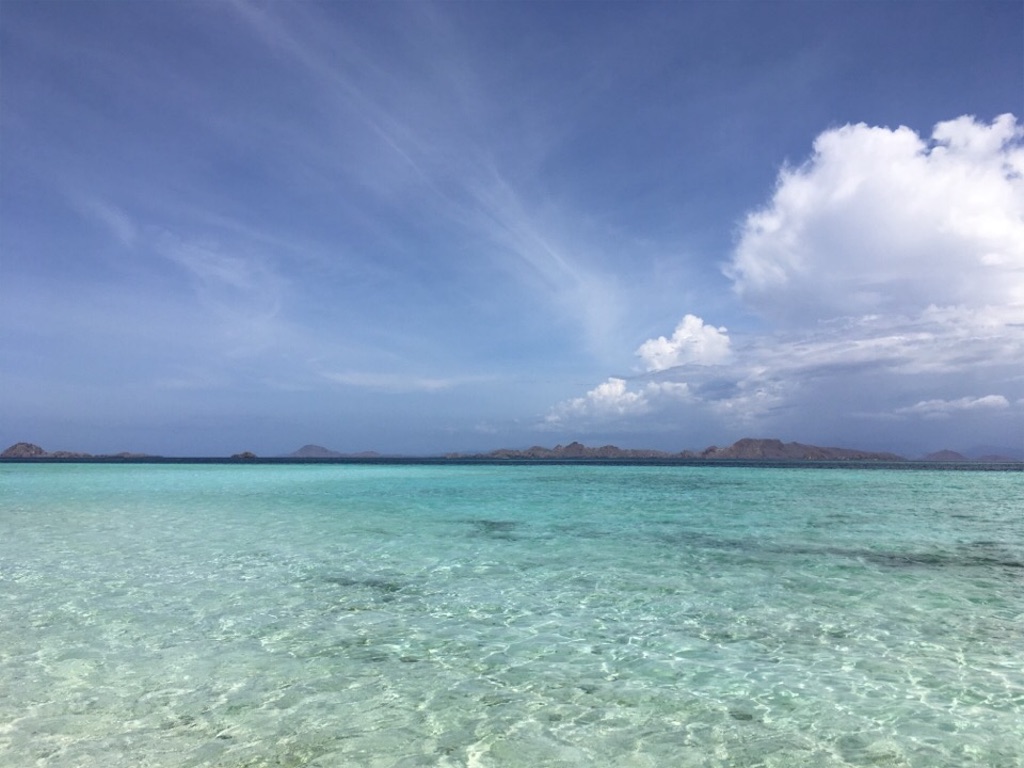 f:id:Toshibo:20181225104959j:image