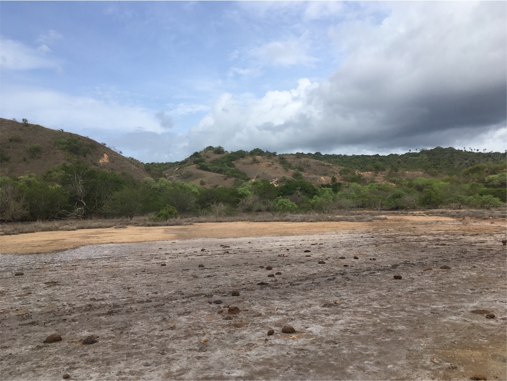 f:id:Toshibo:20181225105547j:image