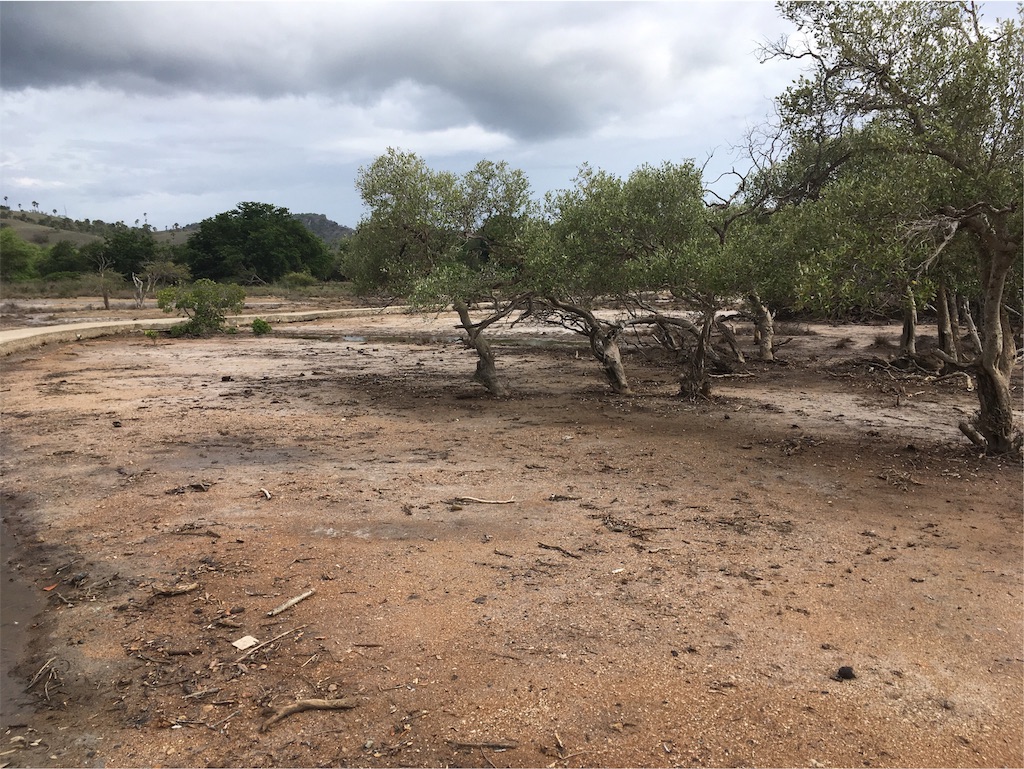 f:id:Toshibo:20181225105553j:image