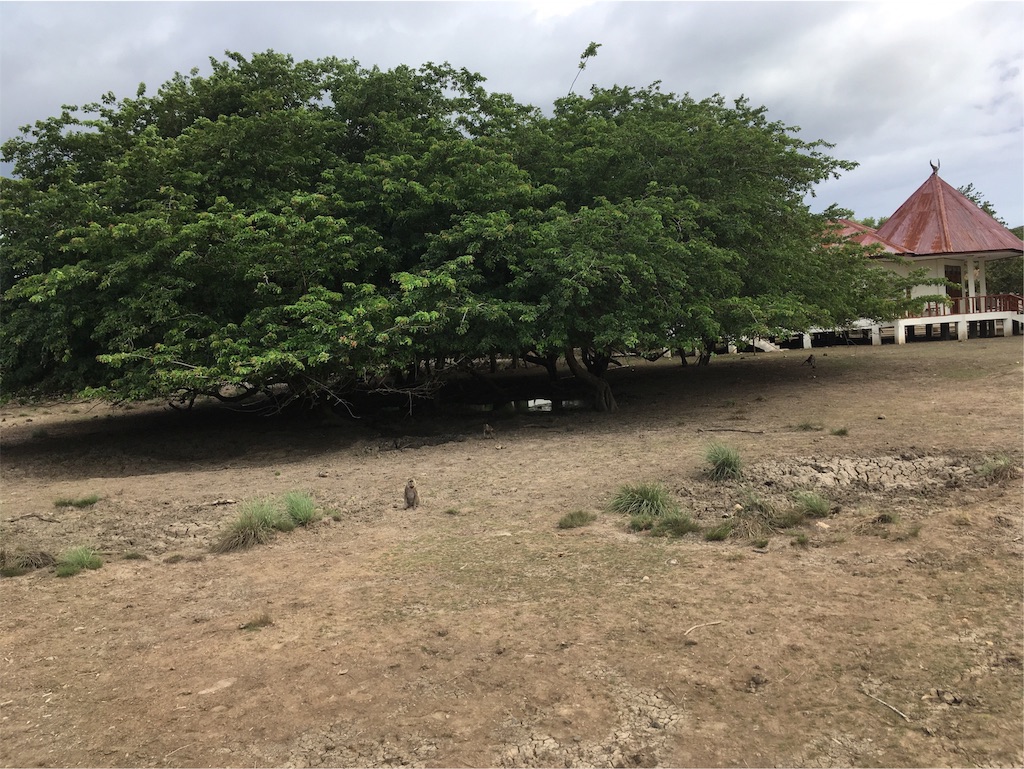 f:id:Toshibo:20181225105559j:image