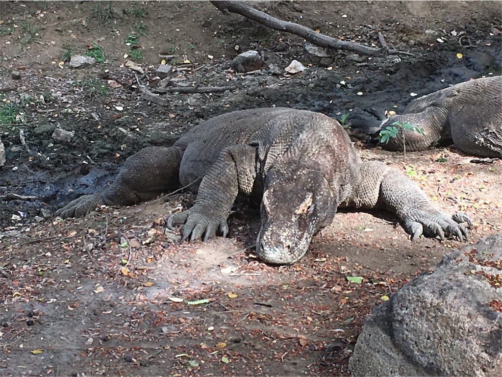 f:id:Toshibo:20181225105707j:image