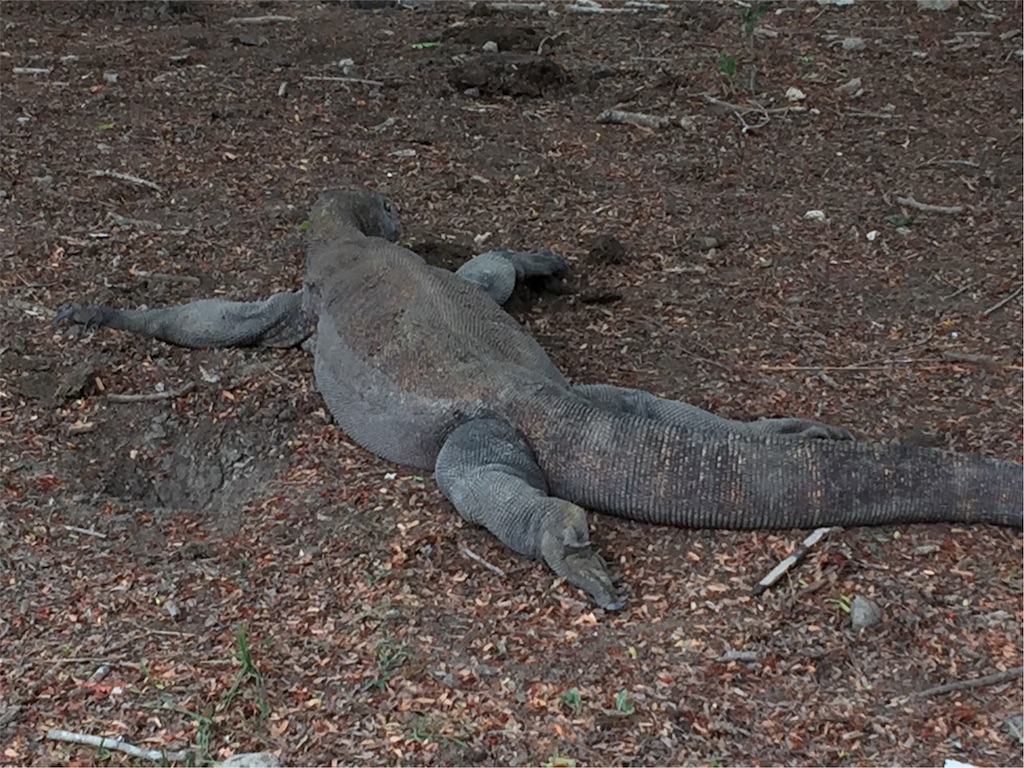 f:id:Toshibo:20181225105712j:image