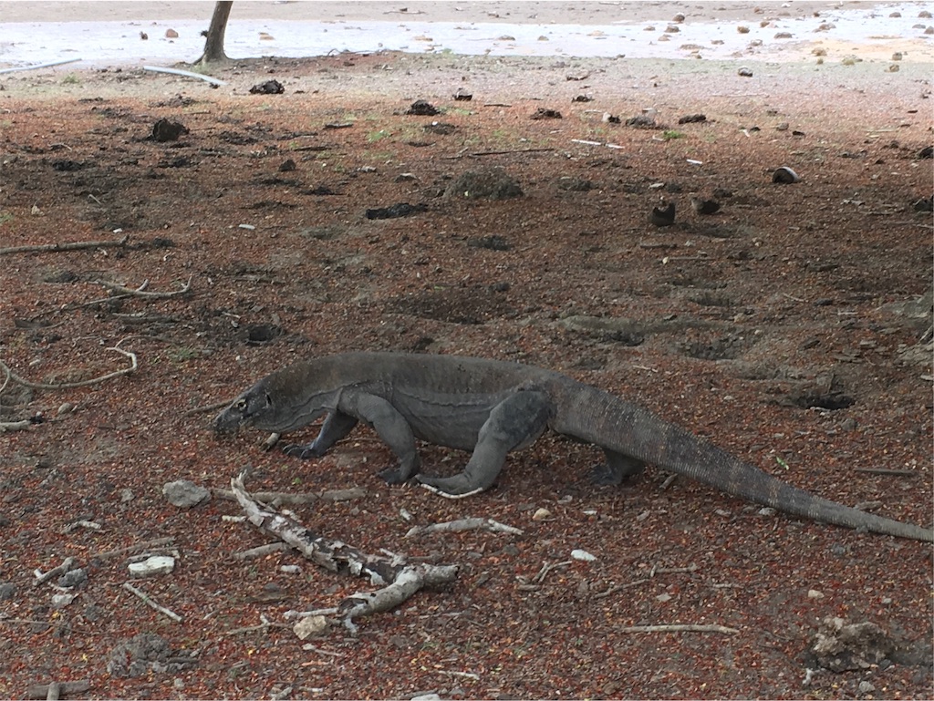 f:id:Toshibo:20181225105728j:image