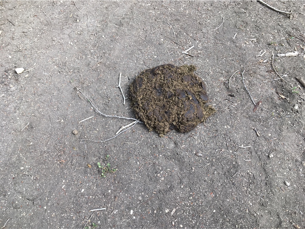 f:id:Toshibo:20181225105945j:image