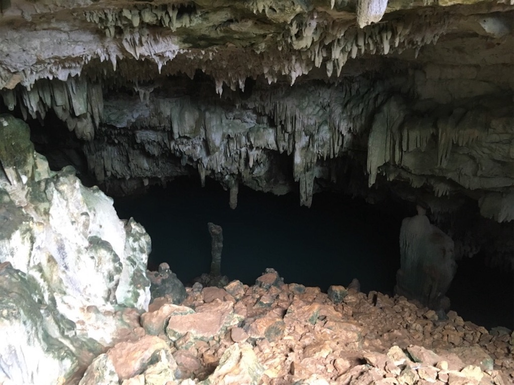 f:id:Toshibo:20181226112327j:image