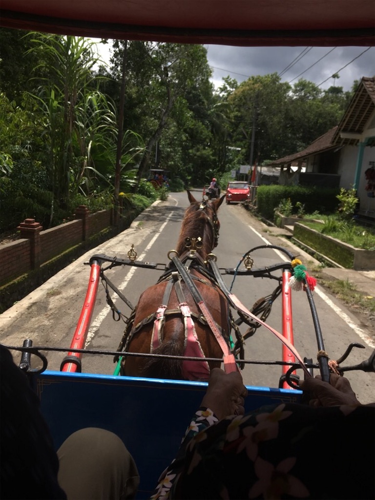 f:id:Toshibo:20181230084243j:image