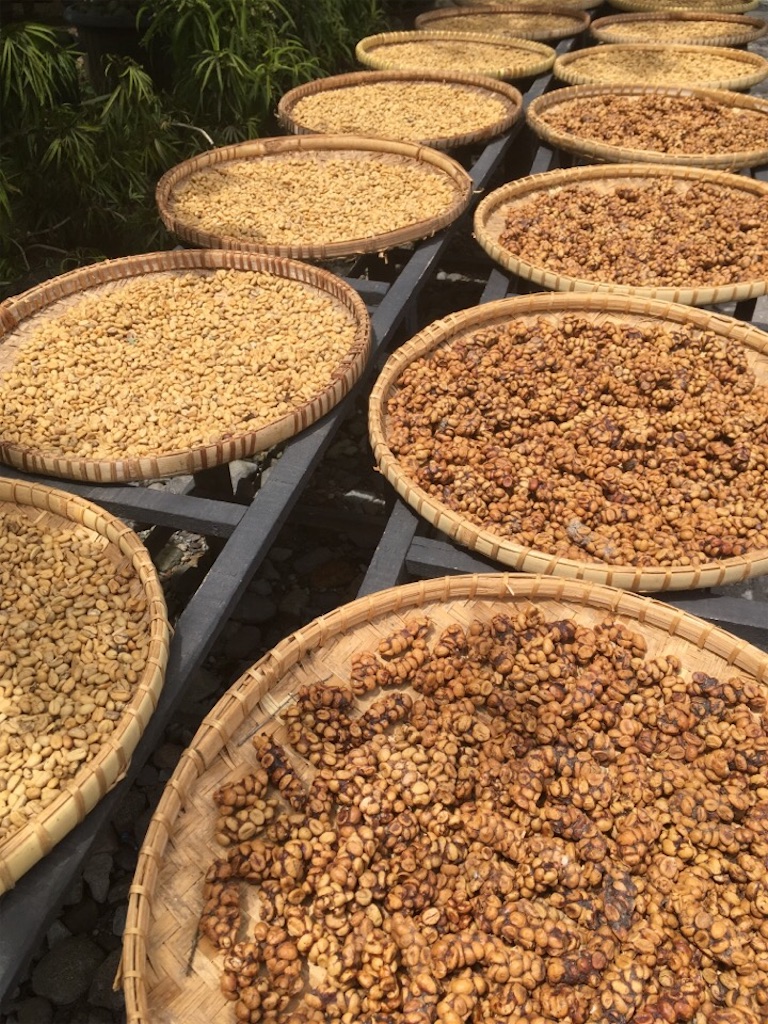 f:id:Toshibo:20181231113118j:image