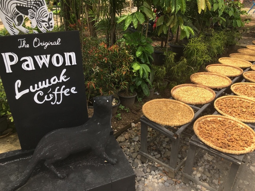 f:id:Toshibo:20181231113121j:image