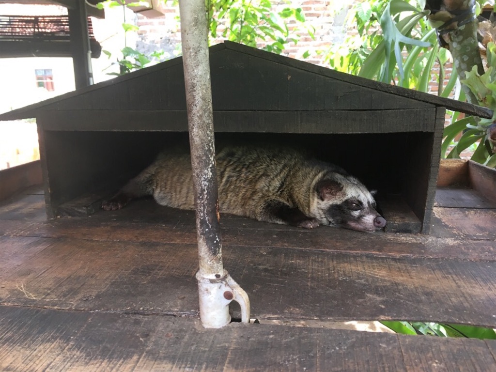 f:id:Toshibo:20181231113958j:image