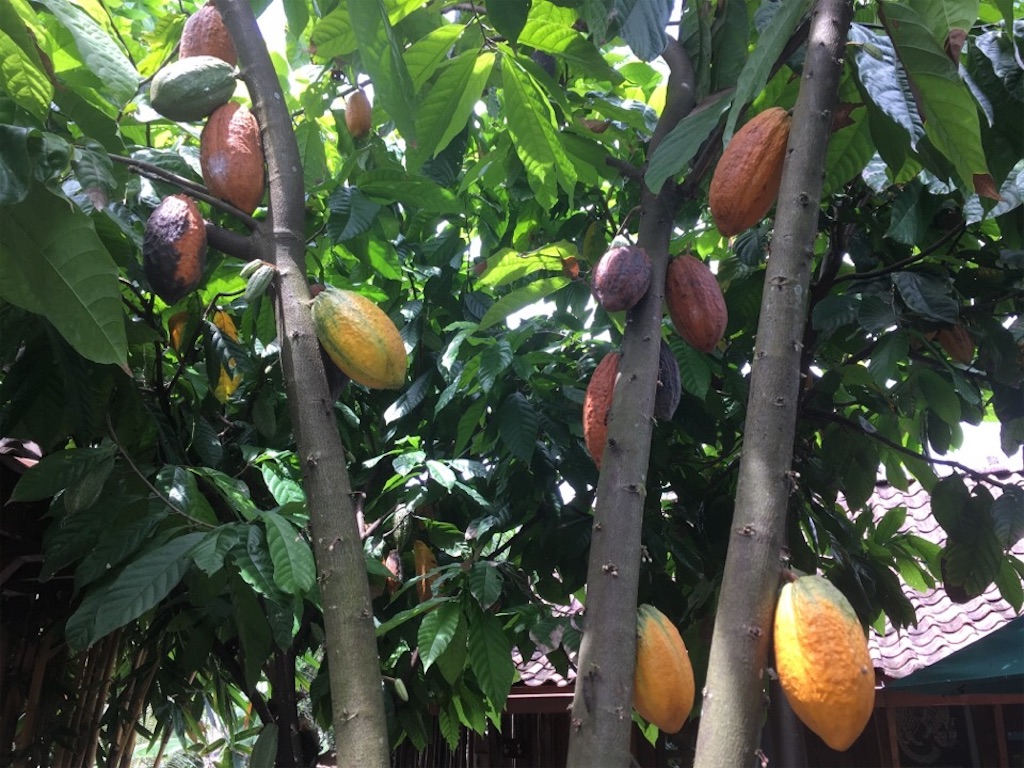 f:id:Toshibo:20181231114631j:image