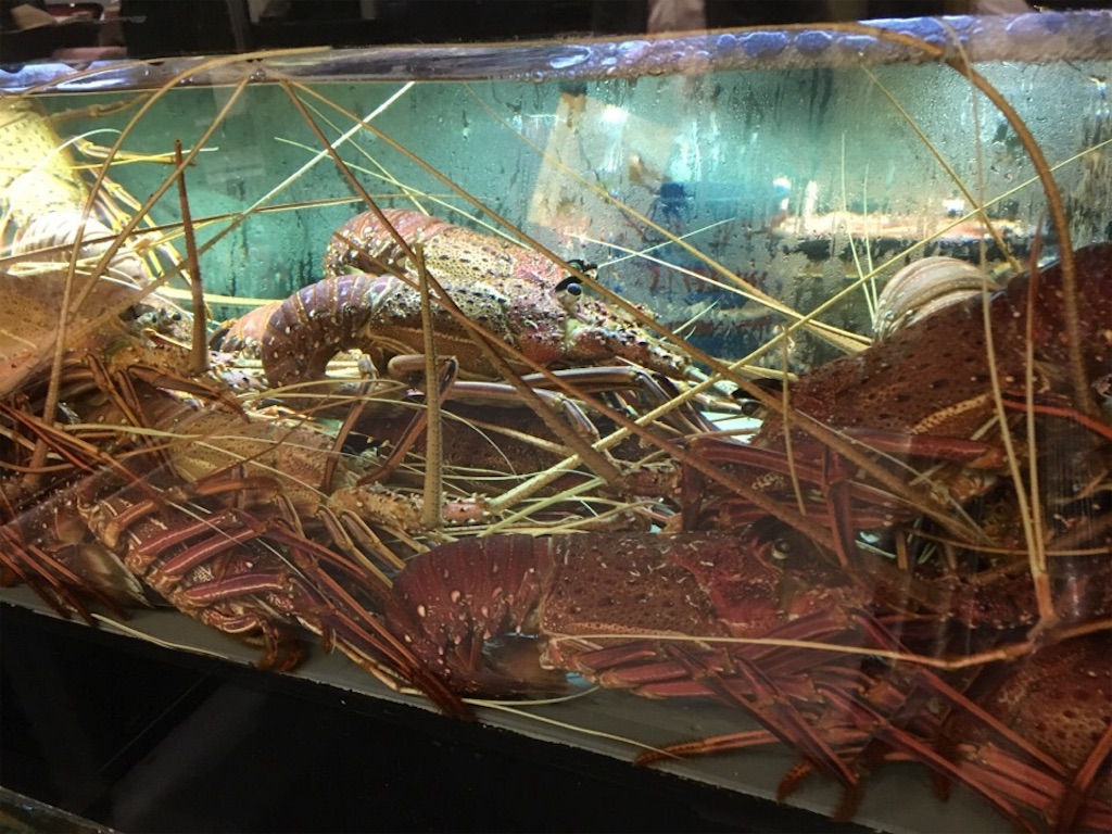 f:id:Toshibo:20190116154131j:image f:id:Toshibo:20190116154131j:image