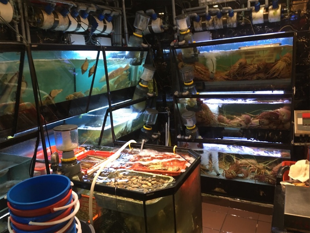 f:id:Toshibo:20190116154147j:image f:id:Toshibo:20190116154147j:image