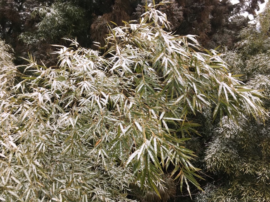 f:id:Toshibo:20190209174542j:image