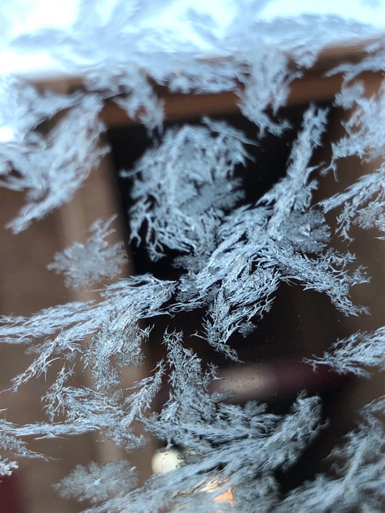 f:id:Toshibo:20190307110904j:image