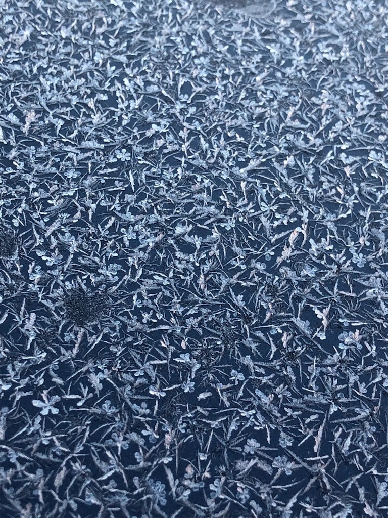 f:id:Toshibo:20190307110912j:image