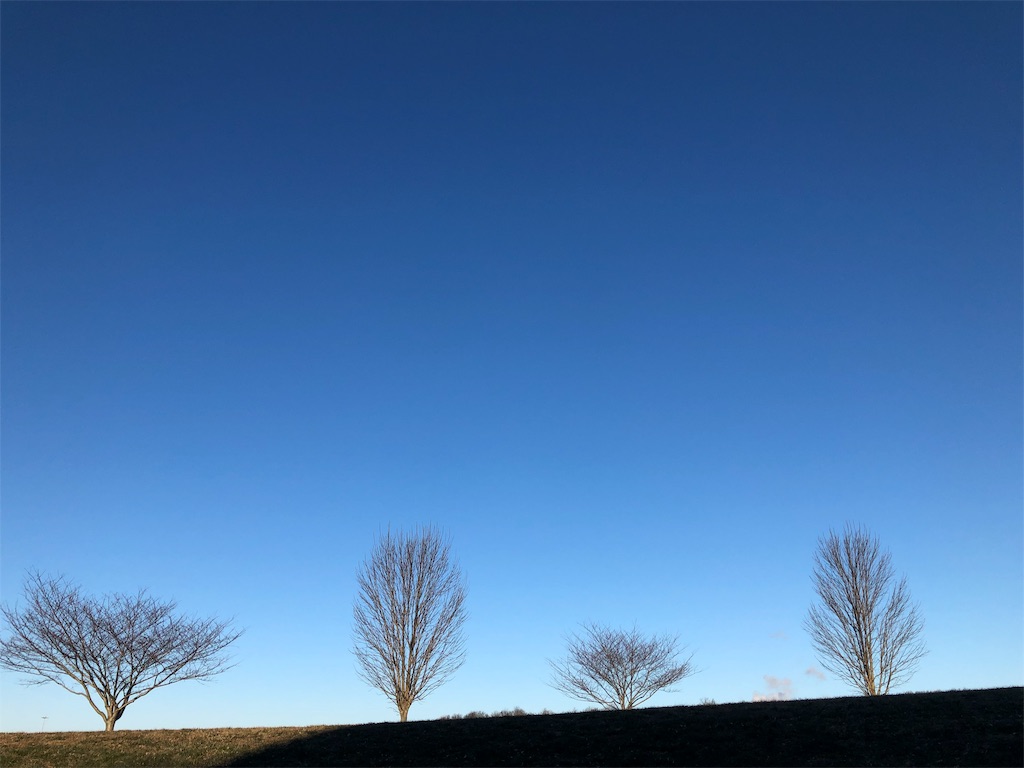 f:id:Toshibo:20190307111140j:image