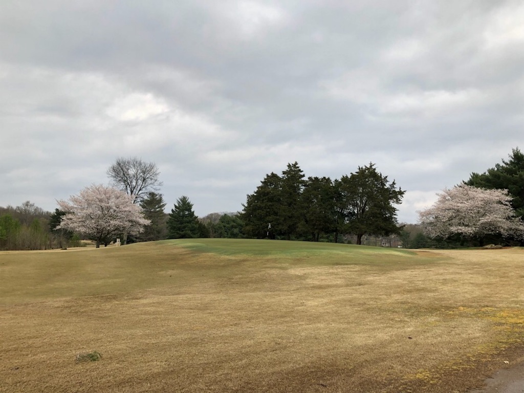 f:id:Toshibo:20190402075142j:image