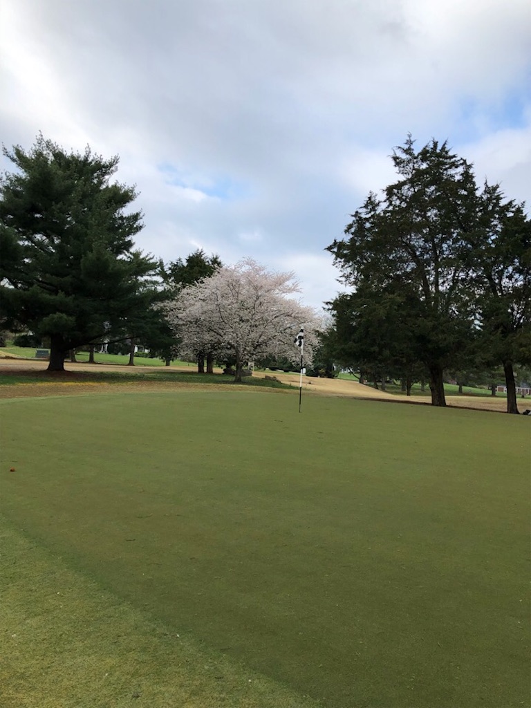 f:id:Toshibo:20190402075221j:image f:id:Toshibo:20190402075221j:image