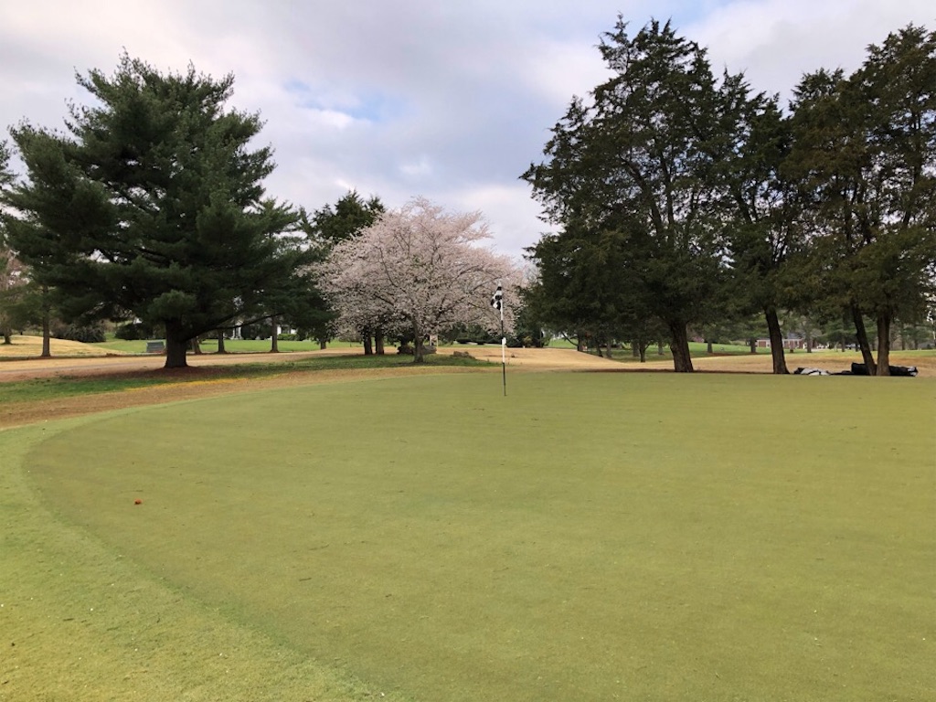 f:id:Toshibo:20190402075236j:image f:id:Toshibo:20190402075236j:image