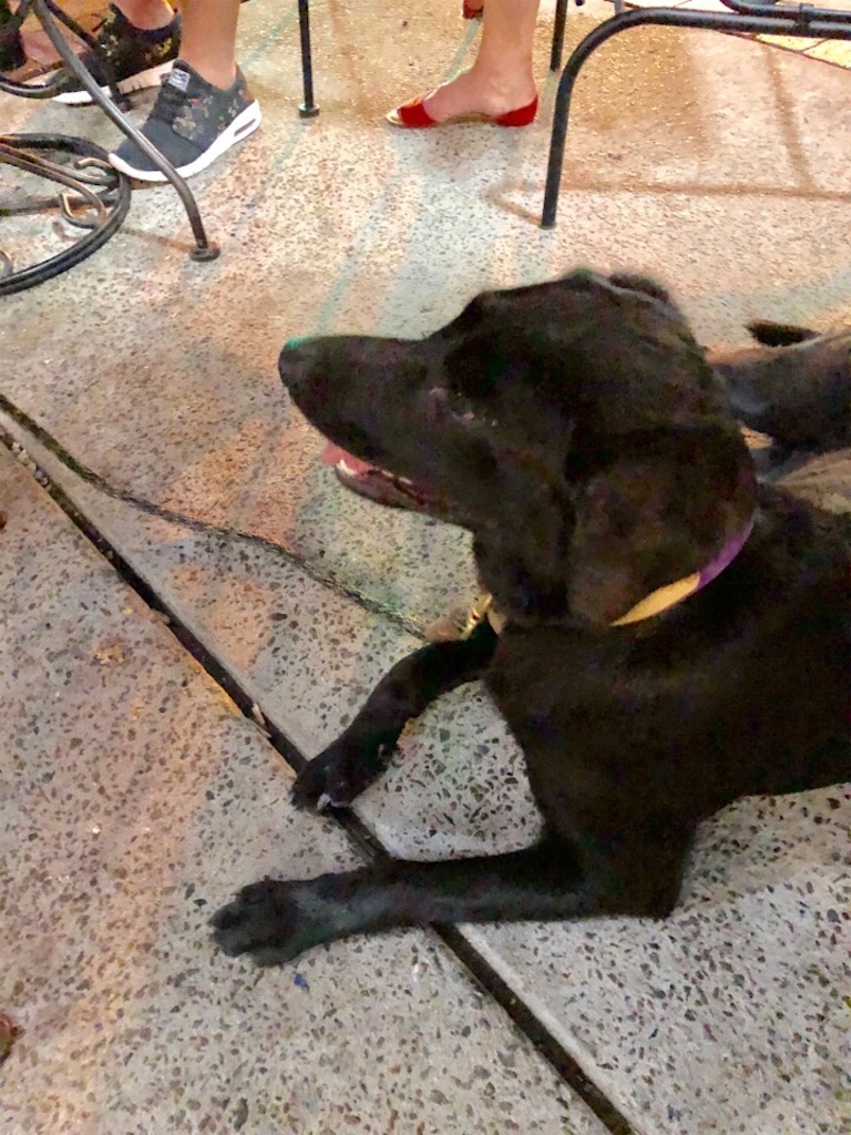 f:id:Toshibo:20190529211512j:image