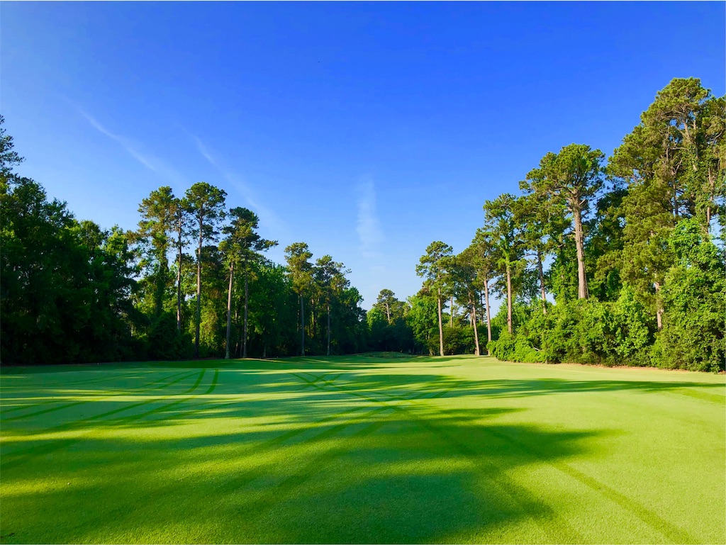 f:id:Toshibo:20190530212316j:image