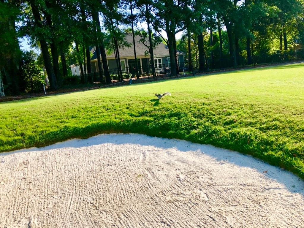 f:id:Toshibo:20190530212428j:image