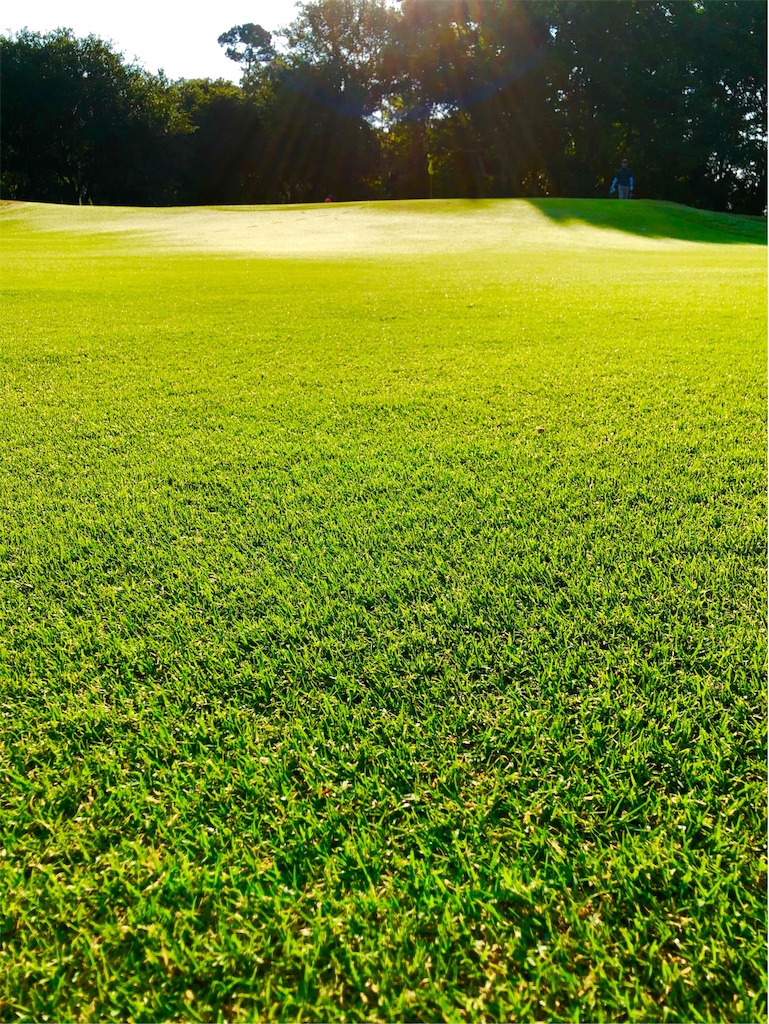 f:id:Toshibo:20190530212524j:image