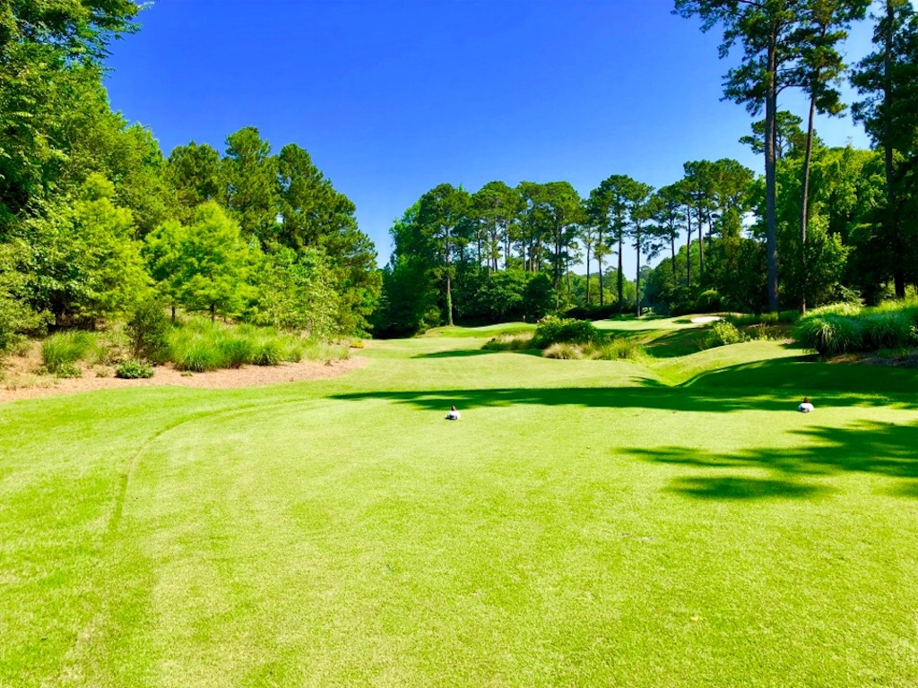 f:id:Toshibo:20190530212707j:image