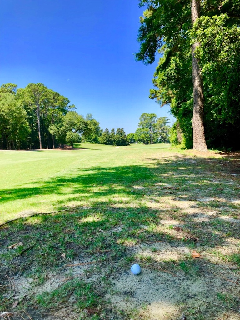 f:id:Toshibo:20190530213208j:image