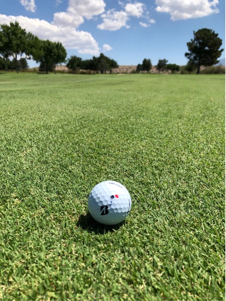 f:id:Toshibo:20190723214149j:image f:id:Toshibo:20190723214149j:image