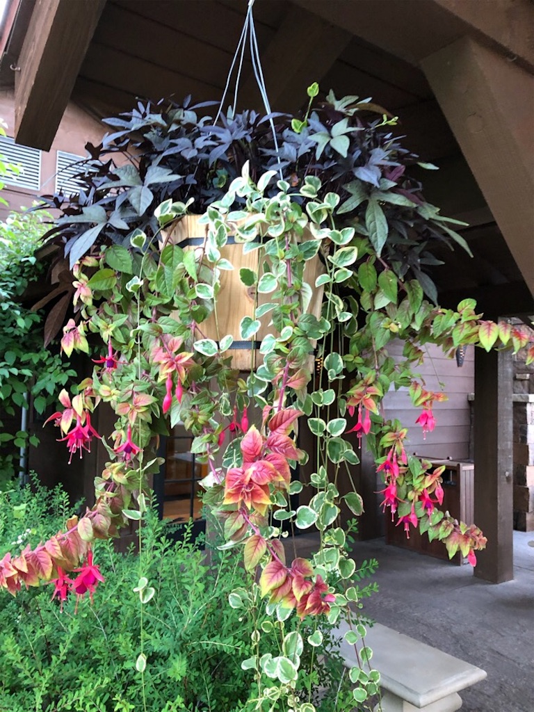 f:id:Toshibo:20190727212143j:image f:id:Toshibo:20190727212143j:image