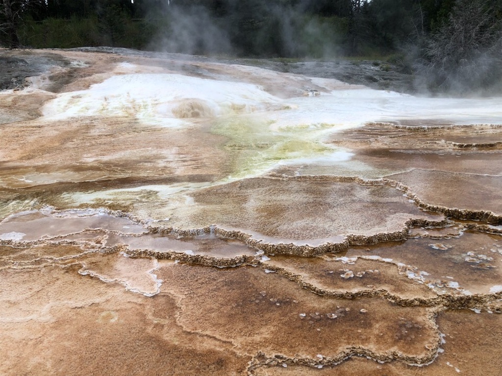 f:id:Toshibo:20190730214003j:image