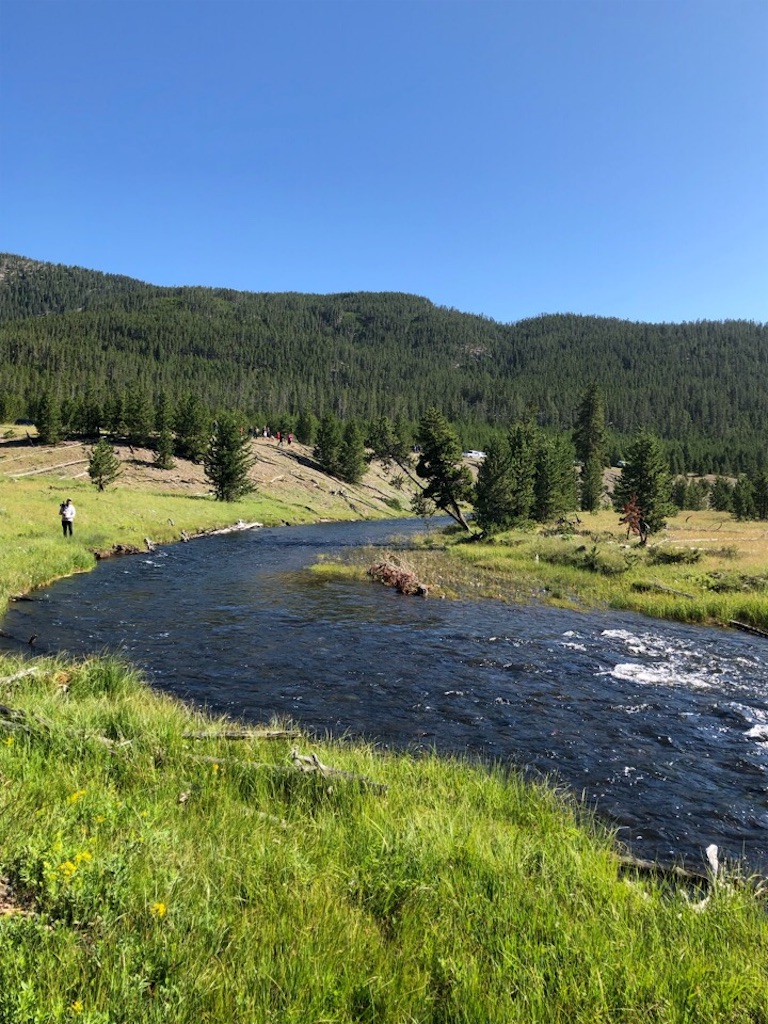 f:id:Toshibo:20190731204607j:image