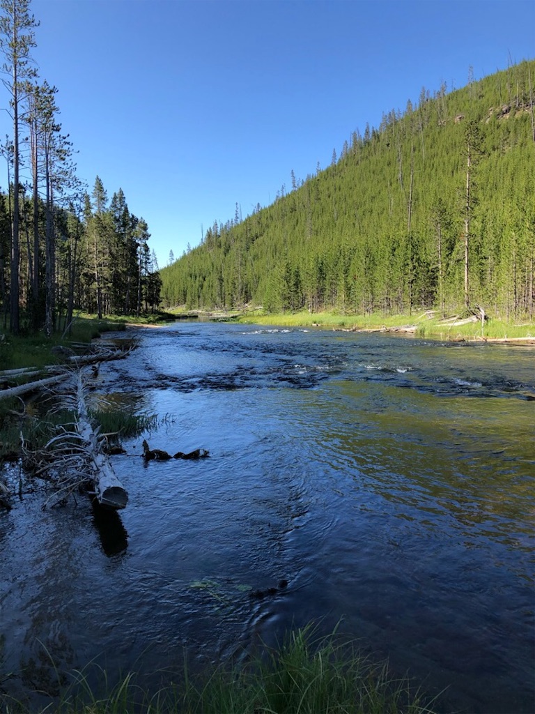 f:id:Toshibo:20190731204617j:image