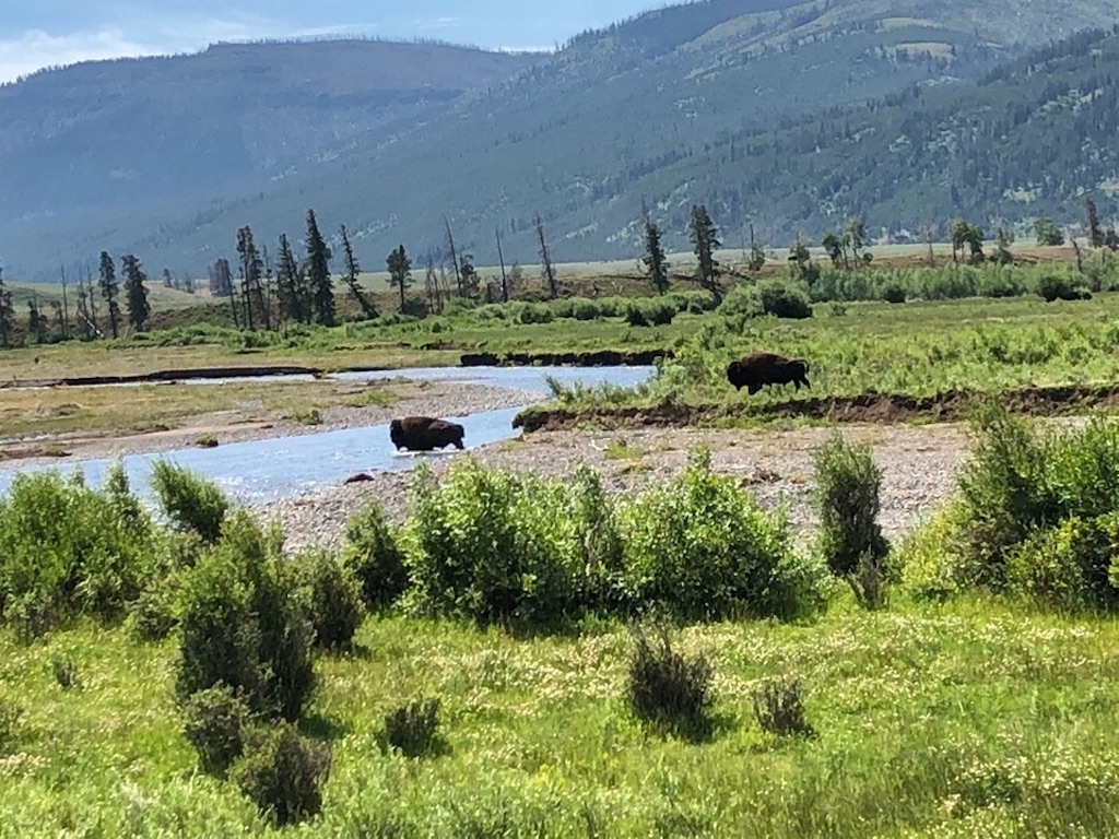 f:id:Toshibo:20190731205216j:image